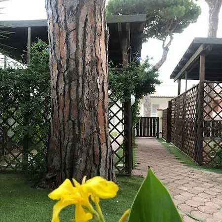 Appartamento Vacanze Relax Mare E Pineta Maremma Toscana